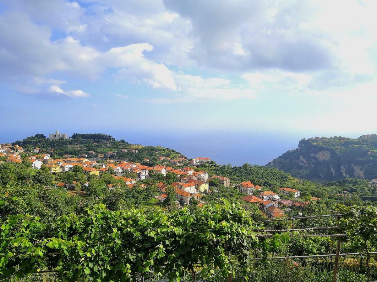 Agriturismo Il Castagno Villa Agerola Bagian luar foto